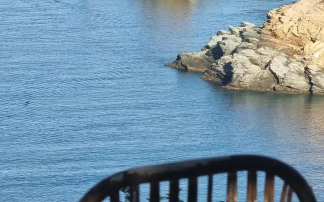 Bellevue Village Apartments Studios