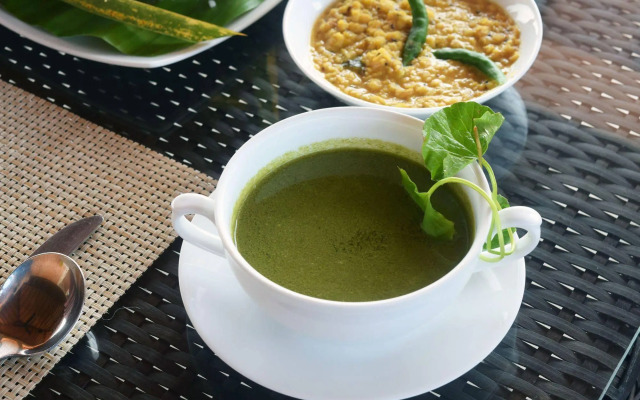 Terrace Green Hotel & Spa