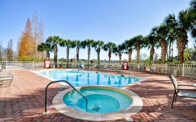 Hilton Garden Inn Tampa North Busch Gardens