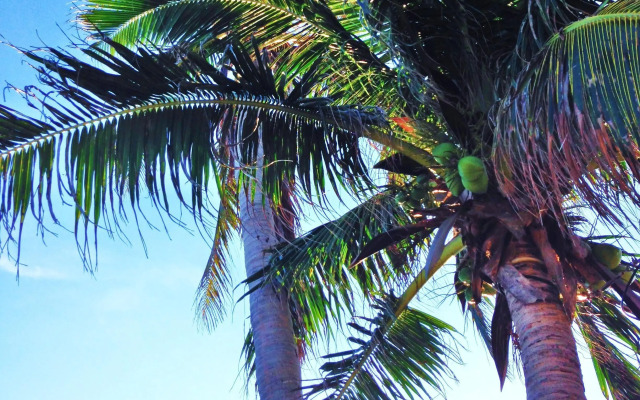 31 White Sands Bed and Breakfast