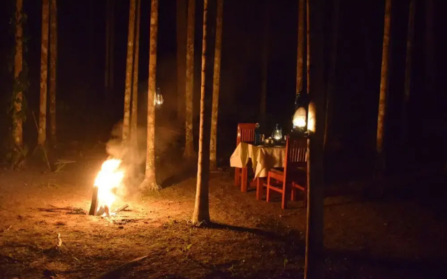 Bowfin Resort