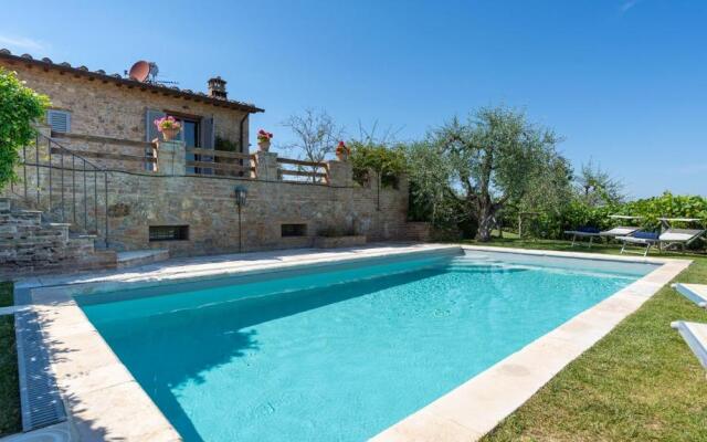 Fi-d895-gate0at - L Oliveta 6