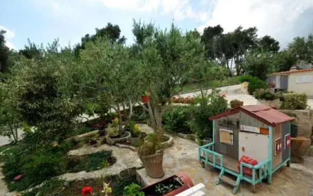 Apartments Sandra