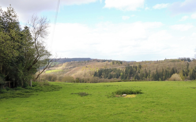 Penymaes