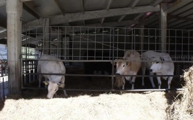 Agriturismo Podere Montese