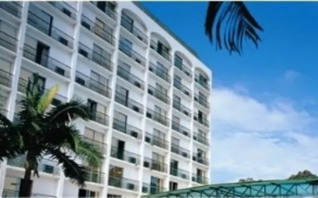 Palmleaf Grand Premium