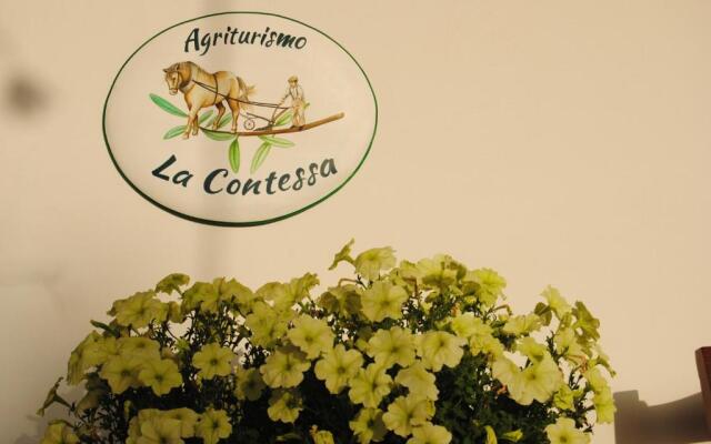 Agriturismo La Contessa