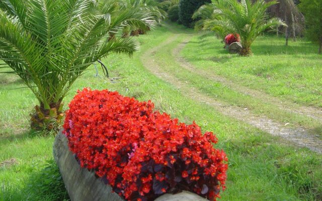 Casa Rural Lurdeia Adults Only