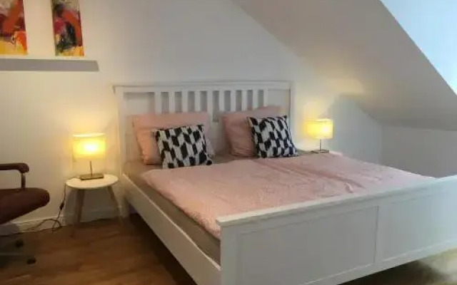 Über den Dächern Boppards