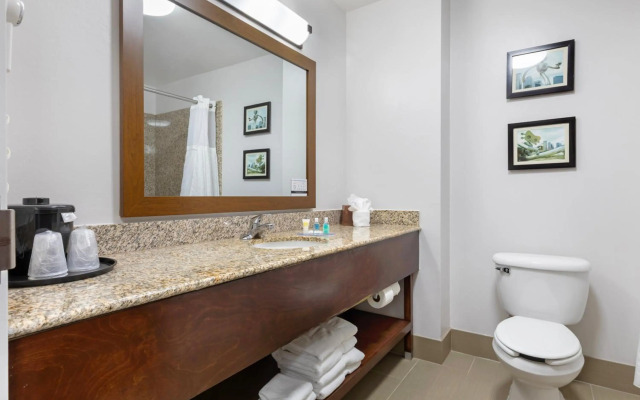 Comfort Suites DFW North/Grapevine