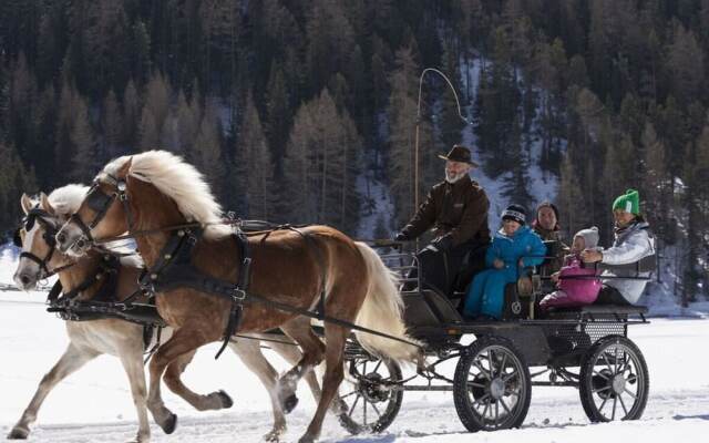 the Veitenhof Comfortable Holiday Residence