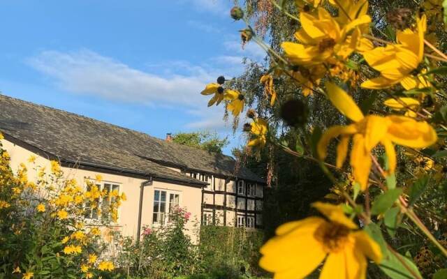 Yew Tree Cottage B&B