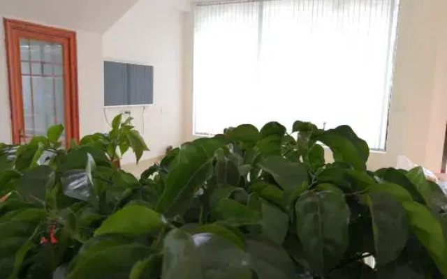 Wugu Zaliang Hotel