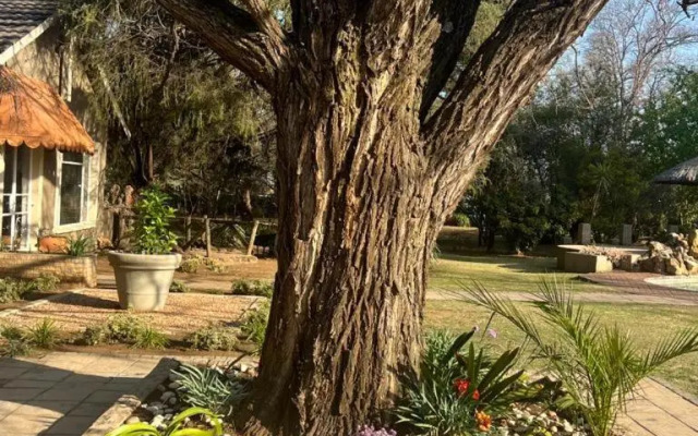 Silken Trap Accommodation