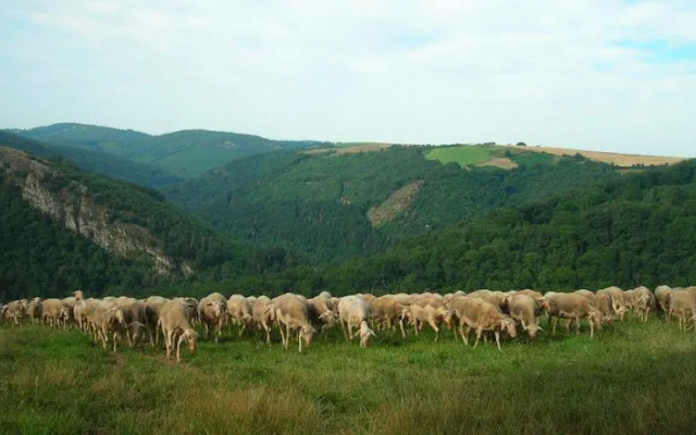 Les Gîtes de Costes-Auriès