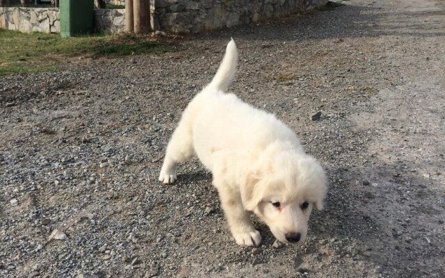 Agriturismo Casa della Nonna