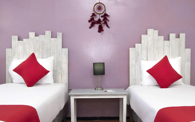 Hotel Allende 104