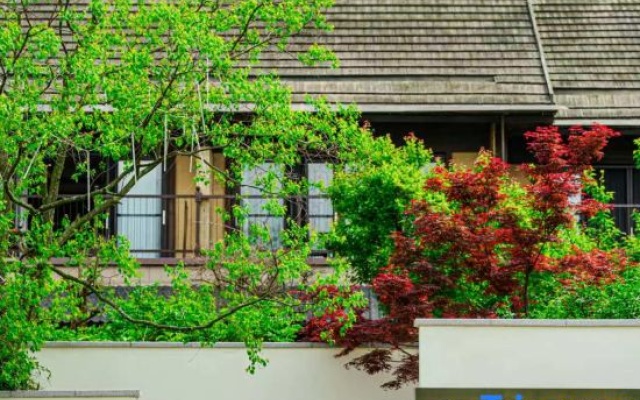 THE  SPRING  VILLA (Dujiangyan Panda Valley) – Exterior – Chengdu