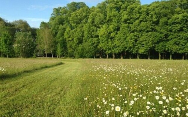 Domaine de Vauluisant