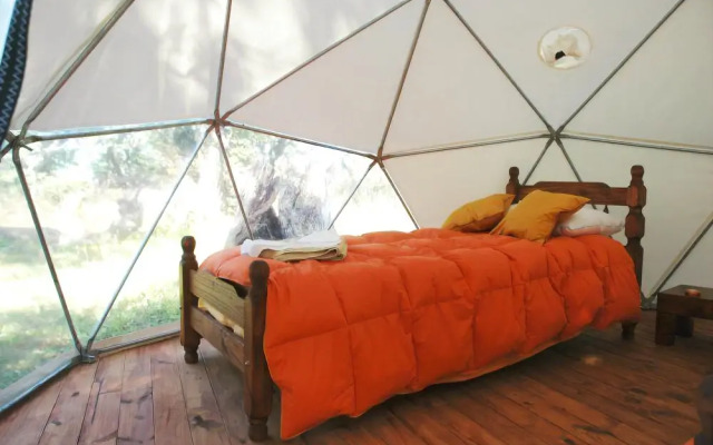Adventure Domes