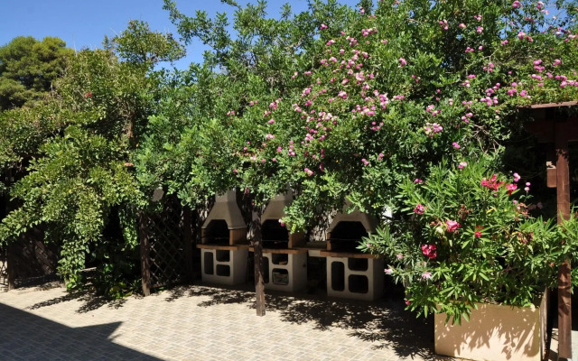Palm Village