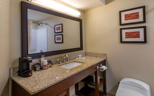 Comfort Inn Opelika - Auburn