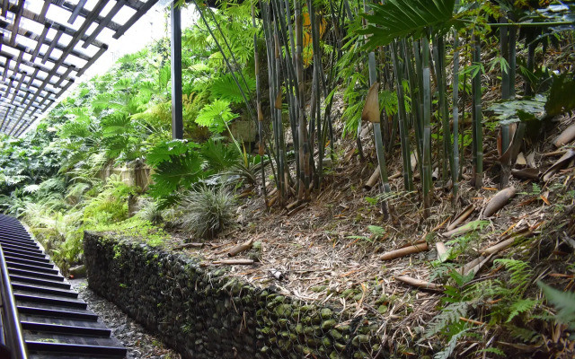 Hotel Bambu Inn
