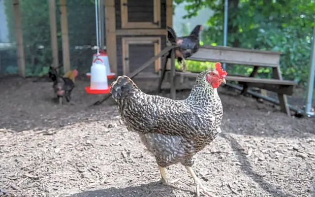 Het Vinkenest Nijverdal