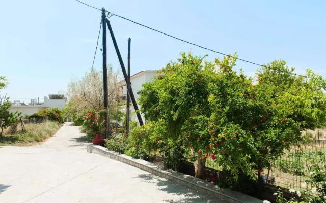 Saonisos