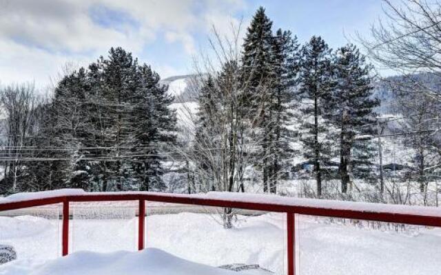 Chalet - 585 Chemin Du Hibou