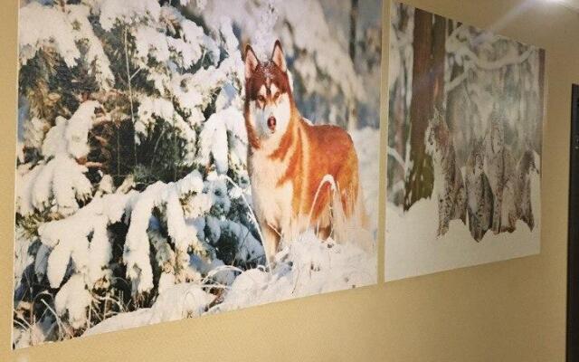 Вилегодское Подворье