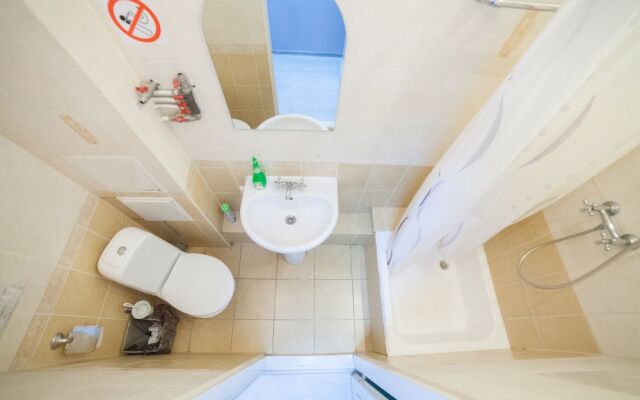 Лебедушка на Достоевского