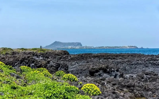 Seogwipo Hello 1204 Pension