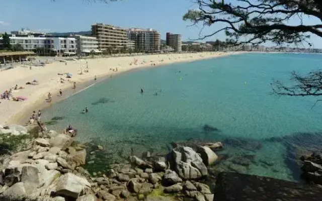 Apartaments Primera Linea Torre Valentina