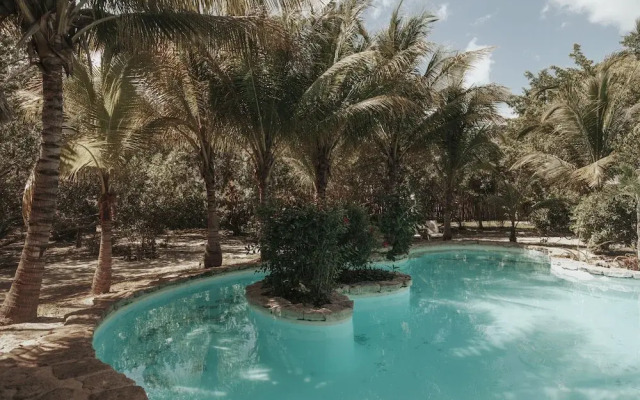 Blue Holbox Beach Front