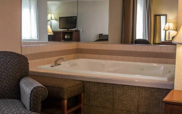 Comfort Inn & Suites Diamondale – Lansing