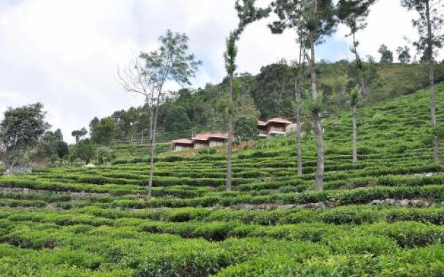 Hanging Huts Resort - Kotagiri