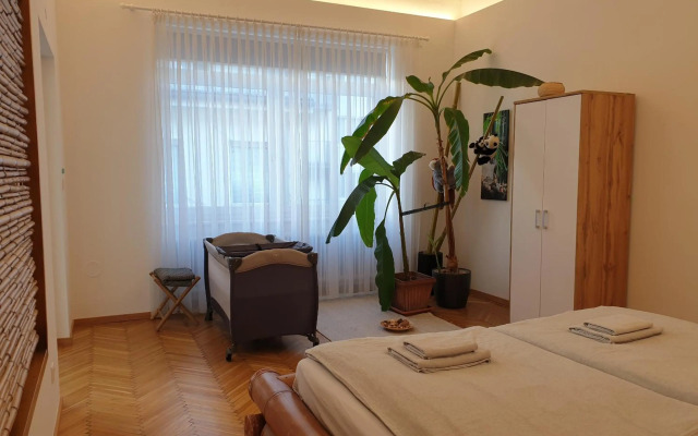 Sunny and spacious apartment near city centre