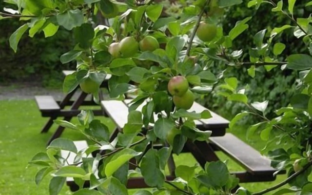 Coorie Inn Restaurant and Rooms