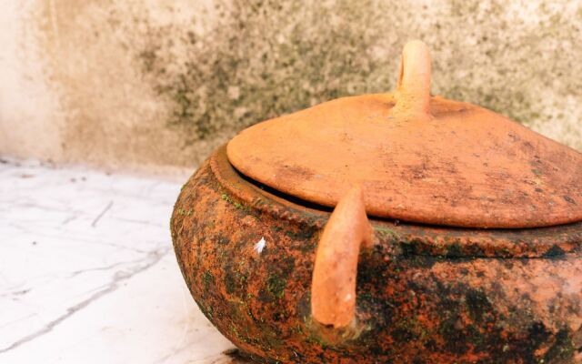 Eva Recommends Imperial