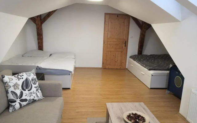 Apartment Lipno Šumava pro 8 hostů