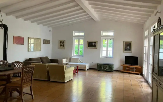 Mediterenian house with beautiful garden