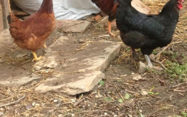 Chambres d'Hotes la Source