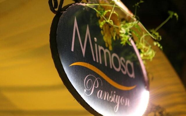 Mimosa Pension