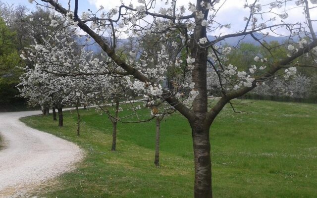 Parco di San Floriano