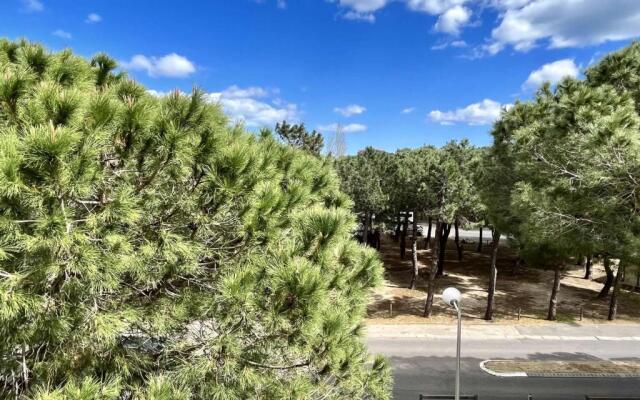 Appartement Argelès-sur-Mer, 2 pièces, 6 personnes - FR-1-225-272