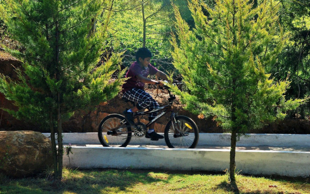 Green Nest Resort