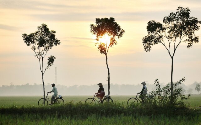 Sunkissed Paddy Hoi An Villa