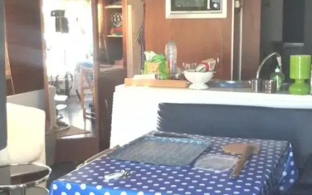 Bateau houseboat camille