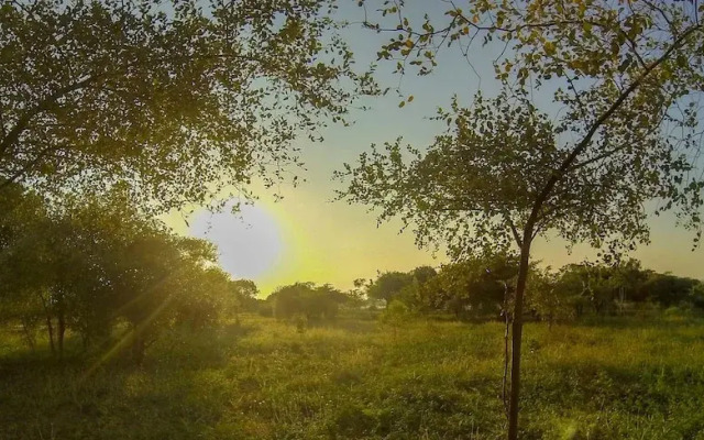thihawa eco huts yala